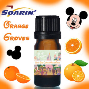 Soarin Over California Orange Grove Disney Epcot Fragrance Oil